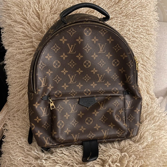 Authentic Louis Vuitton Palm Springs MM - Picture 1 of 5